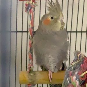 Meet your Posher, Annika